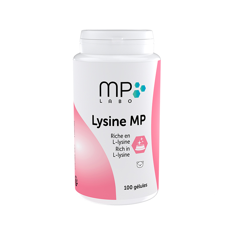 Lysine MP