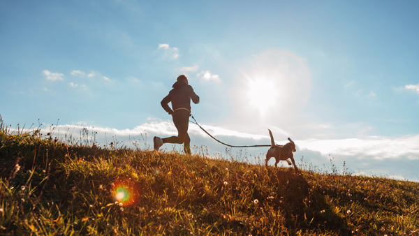 man and his dog running through field with sun rays hitting the camera lense