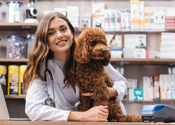 veterinary receptionist with long brown hair and smile cuddling brown cockapoo on desk in front of pet medicine shelves