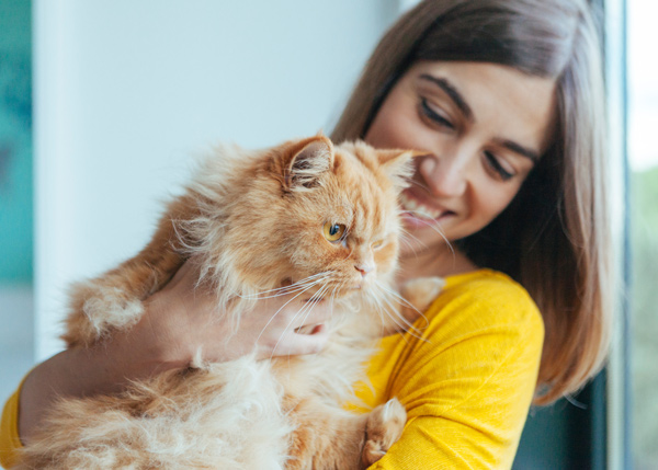 woman in yellow jumper holding fluffy ginger cat in arms