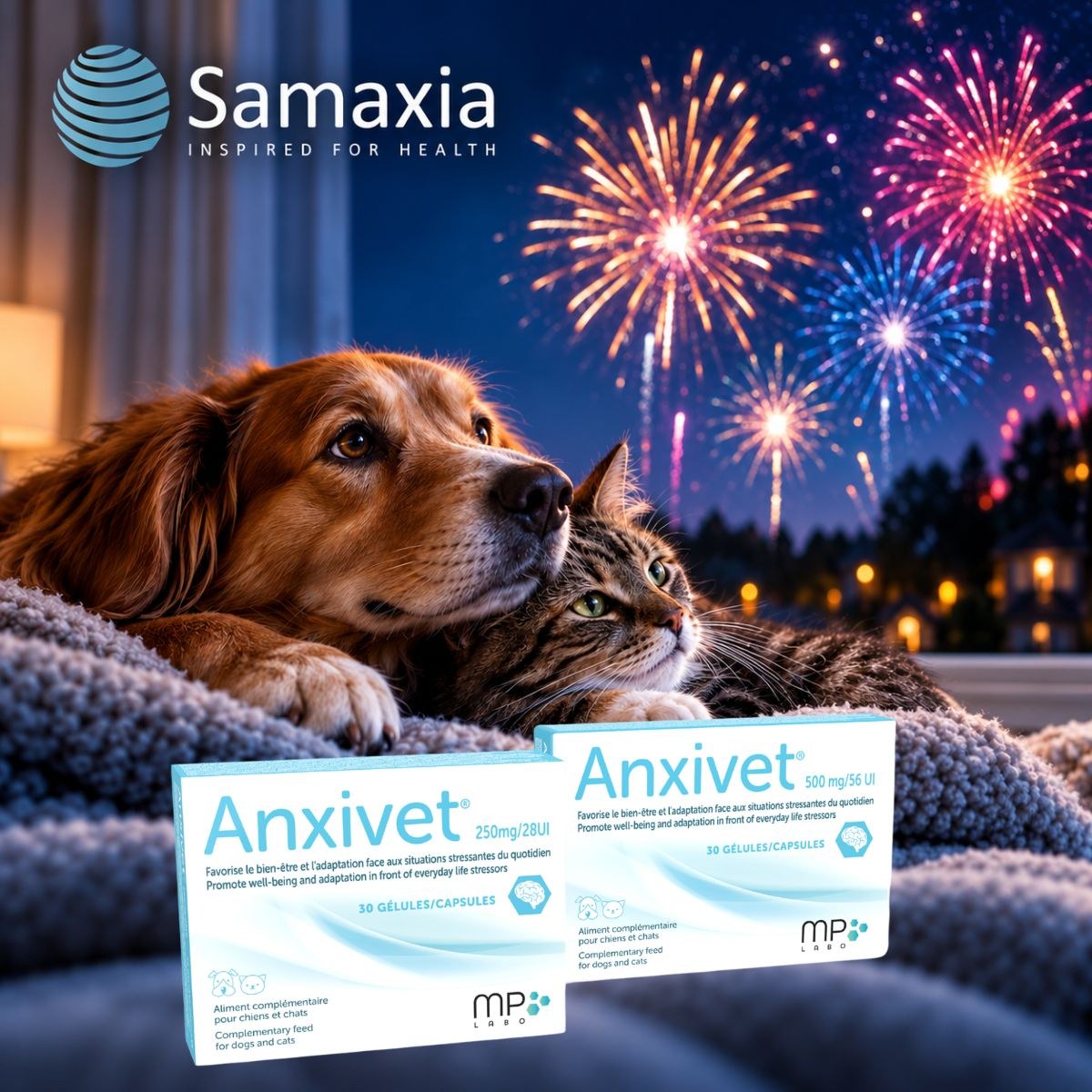Anxivet for dogs and cats during firework season
