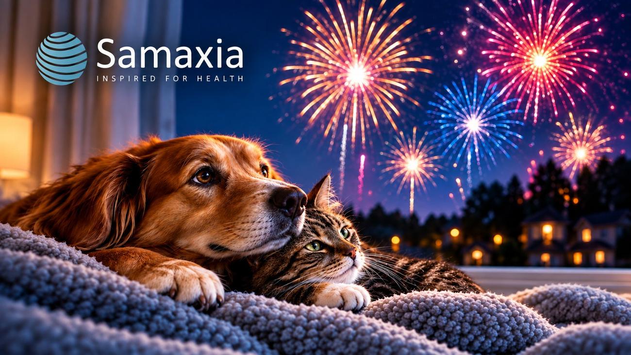 Dog and cat indoors during a colourful firework display
