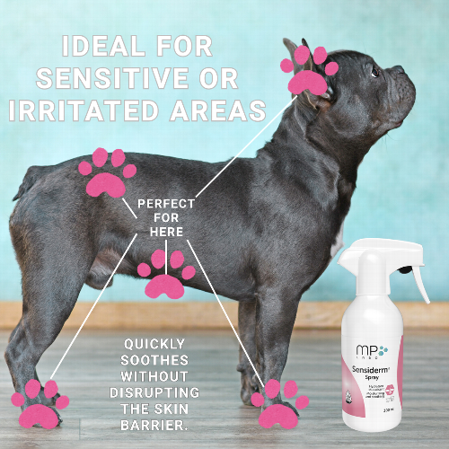 Beyond the Shampoo: Supporting Skin Hydration After Bathing Antimicrobial bathing plays a key role in canine dermatology, but what happens to the skin afterwards? This evidence-led article explores new research into post-bathing skin hydration in dogs, highlighting why supporting the skin barrier matters and how a leave-on spray can help maintain hydration as part of a modern, protocol-friendly dermatology care plan.