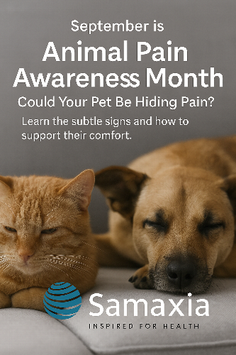 Is Your Pet in Pain? Subtle Signs Every Owner Should Know This September September is Animal Pain Awareness Month. Learn how to spot the subtle signs of pain in pets, why early recognition matters, and how vets and owners can work together to support comfort and wellbeing.