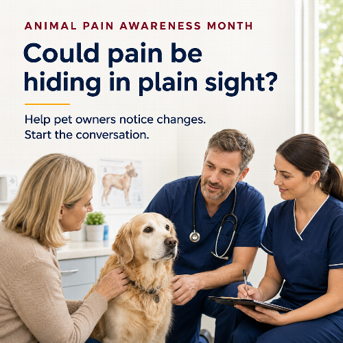 Animal Pain Awareness Month: Changes Pet Owners Should Notice September is Animal Pain Awareness Month. Explore everyday changes worth noticing and why sharing them with your veterinary practice can help build a clearer picture of your pet.