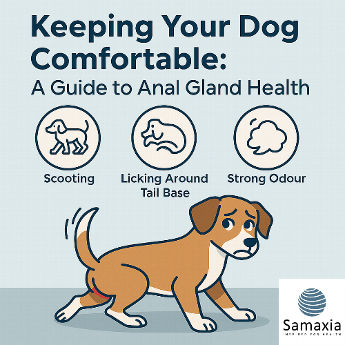Dog Scooting & Anal Glands: What Every Owner Needs to Know Is your dog scooting or licking their tail base? It could be a sign of anal gland discomfort. Learn what to look for, how diet and weight matter, and when to visit your vet. Discover gentle, natural support for your dog’s digestive health.