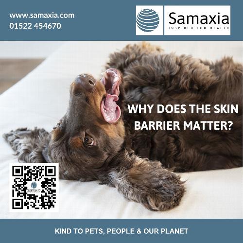 Protect and Soothe with Skin Barrier Protect™ Technology Support sensitive skin with Skin Barrier Protect™ – MP Labo’s innovative dual-action technology that hydrates fast and reinforces the skin barrier long term. Discover how Sensiderm® and Keratoderm® shampoos and sprays can help maintain comfort, balance, and healthier skin in dogs and cats.