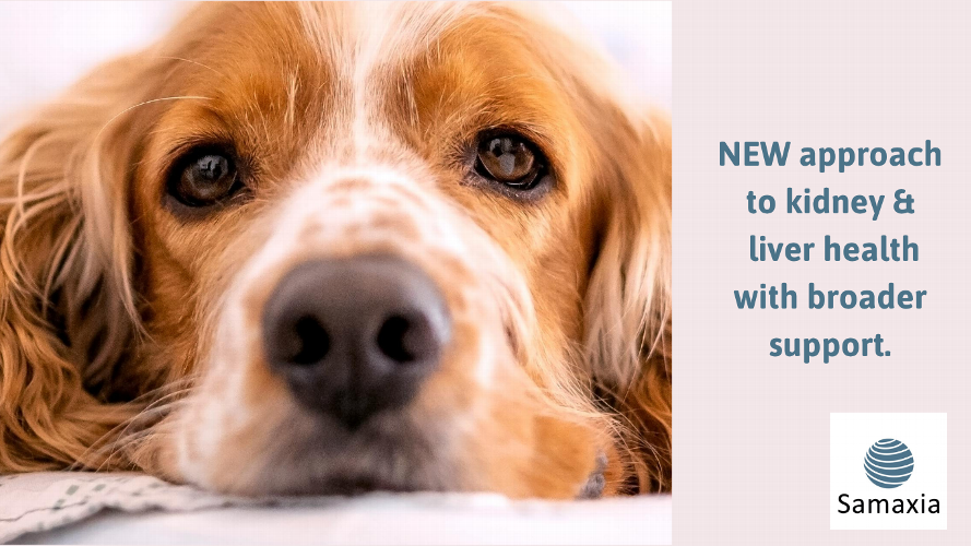 Managing Chronic Kidney Disease in Pets: Latest Insights and Practical Guidelines Explore essential insights and guidelines for managing chronic kidney disease in pets, covering early diagnosis, treatment recommendations, and practical strategies. Discover how to support your pet's renal health effectively. Click here to learn more: https://www.samaxia.com/item/Renalx2bMP-EARLY