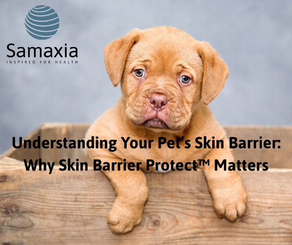 Pet Skin Care: Why the Skin Barrier Matters for Sensitive Pets Your pet’s skin is their first line of defence. Learn what the skin barrier does, why it can become fragile, and how gentle Skin Barrier Protect™ care helps support sensitive skin.
