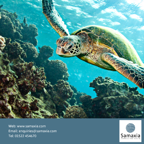 Three Years to 1.5°C—How Vets Can Lead the Change with Samaxia Discover how UK veterinary practices can take meaningful climate action. From anaesthetic gas capture to eco-friendly disinfection and sustainable pet health products, Samaxia brings practical, planet-positive solutions to the profession.